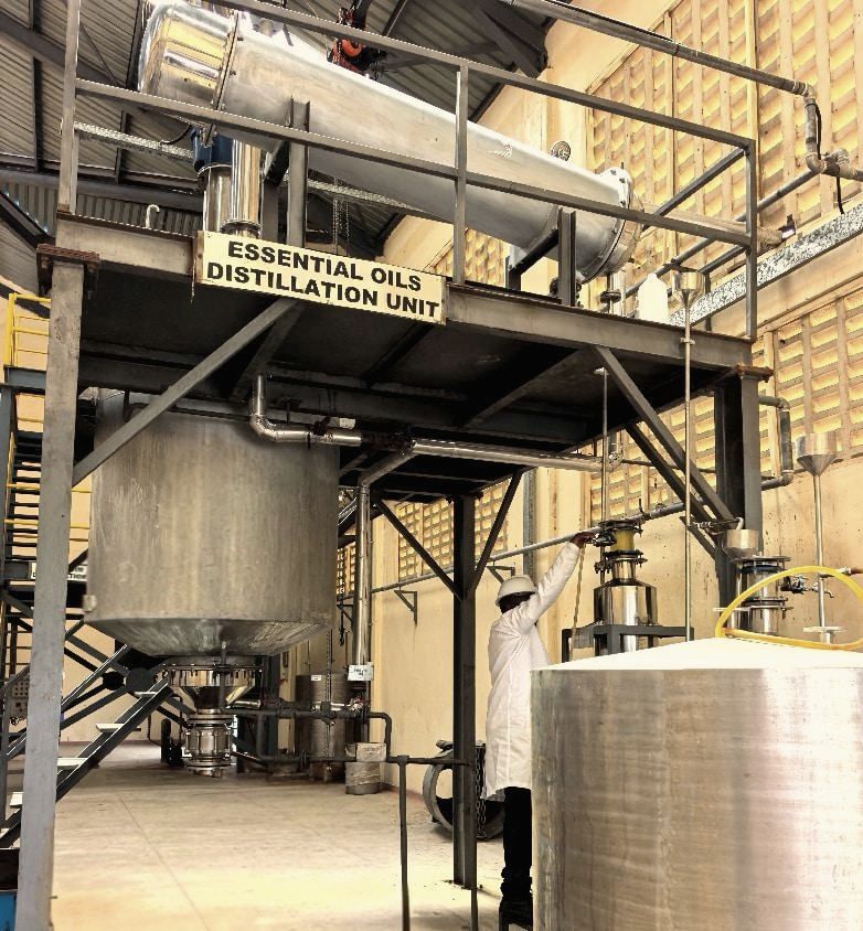 Essential oil distillation unit in Kenya